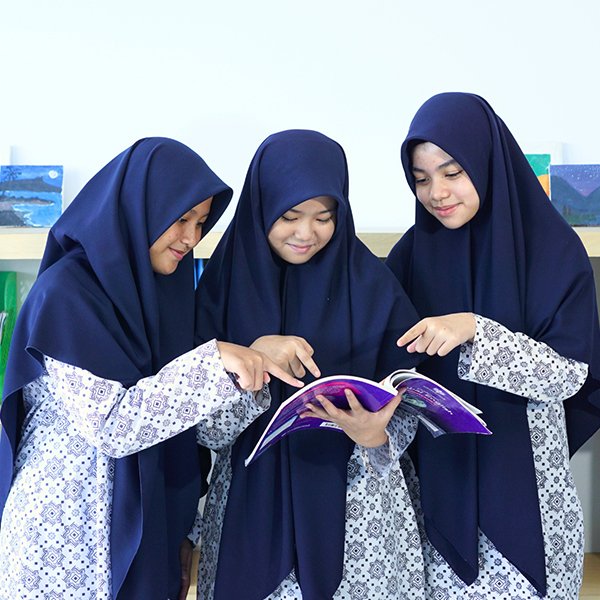 Galeri 8